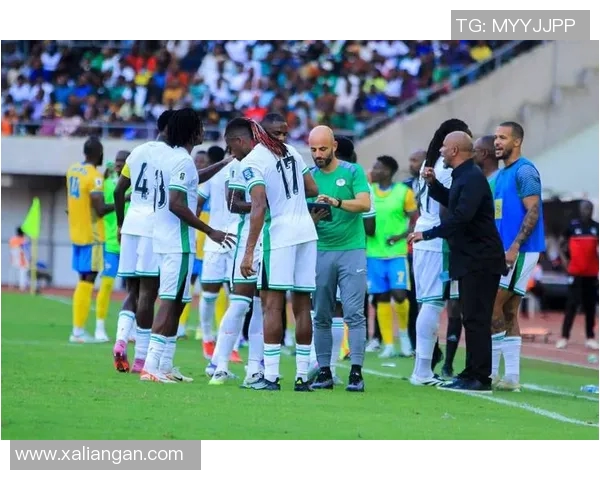 南非足球明星的辉煌历程与成就探秘