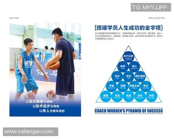 篮球明星投篮卡片的魅力与收藏价值探讨,了解如何选择与投资篮球卡片